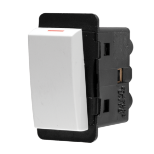 Diamond Switch Double-Pole Module
